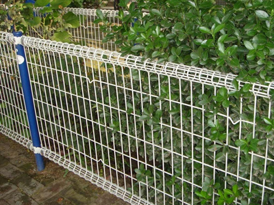 雙圈護(hù)欄網(wǎng)
