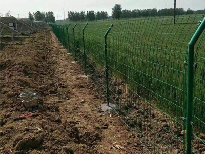 雙邊絲護欄網(wǎng)